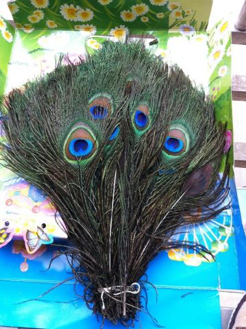 100pcs Real Natural Peacock Feathers