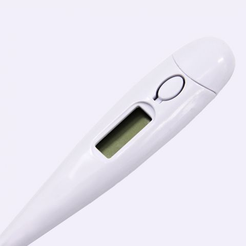 Pet Electronic Digital Thermometer for Cats Dogs Fevers Colds Me